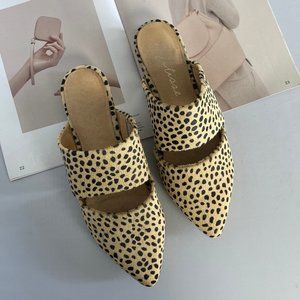 Matisse Calf Hair Leather Berlin Mule | Cheetah | US 9